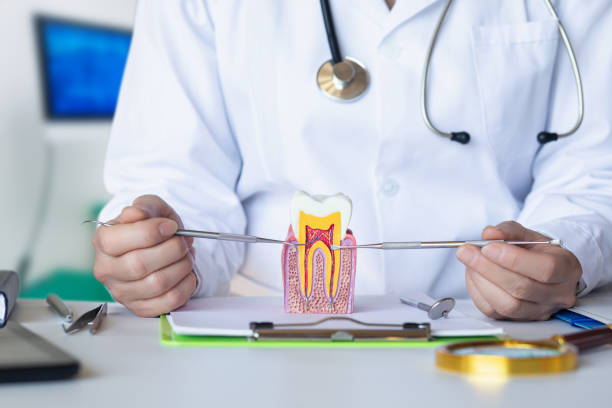 Best Emergency Treatment for Toothache in Elkins, AR